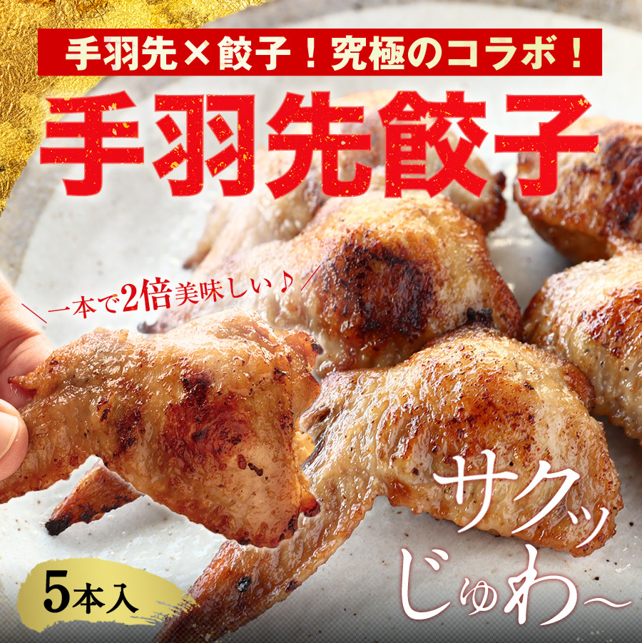 パーティー クリスマス 手羽先餃子 5個入り 冷凍 時短 お手軽 簡単 餃子計画 大阪 浪花 お店 研ちゃん餃子本舗 通販 Paypayモール