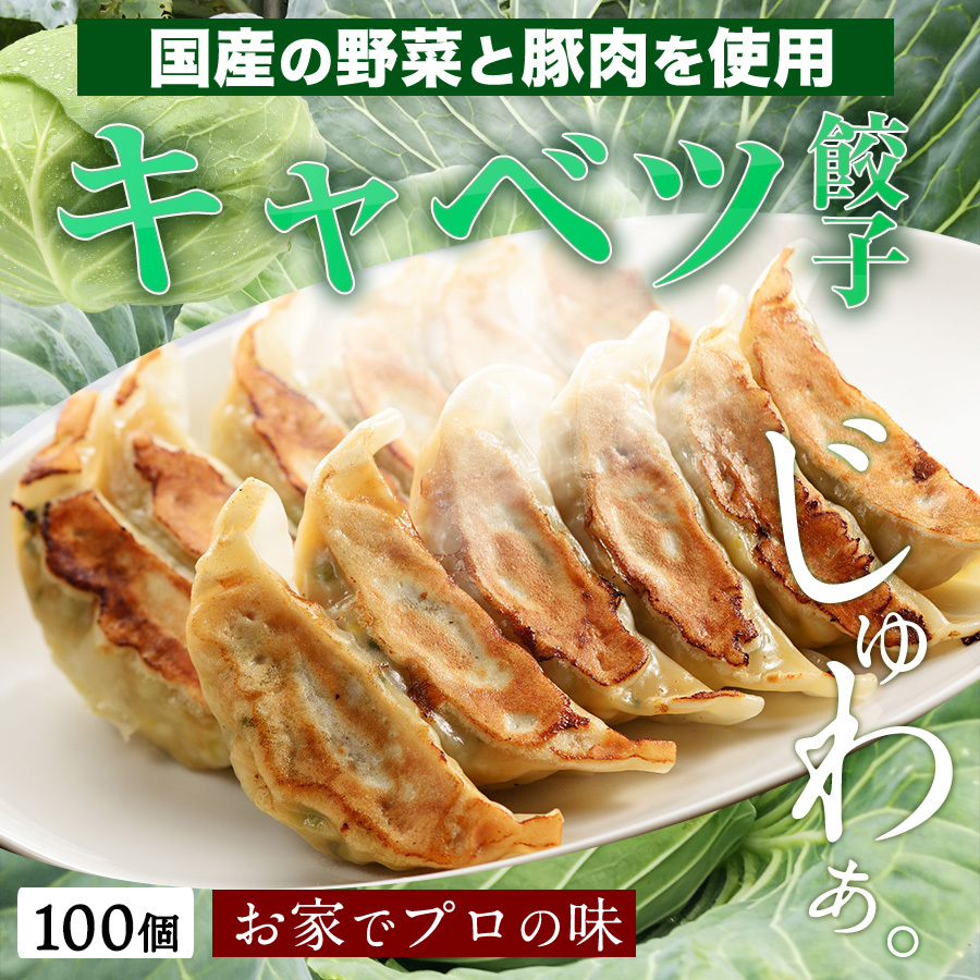 餃子 取り寄せ 送料無料 業務用 冷凍 生餃子 国産素材 時短 お手軽 簡単 大容量 餃子計画 キャベツ餃子 50個入り 2袋 合計100個入り  :10550:餃子計画 公式オンラインストア - 通販 - Yahoo!ショッピング