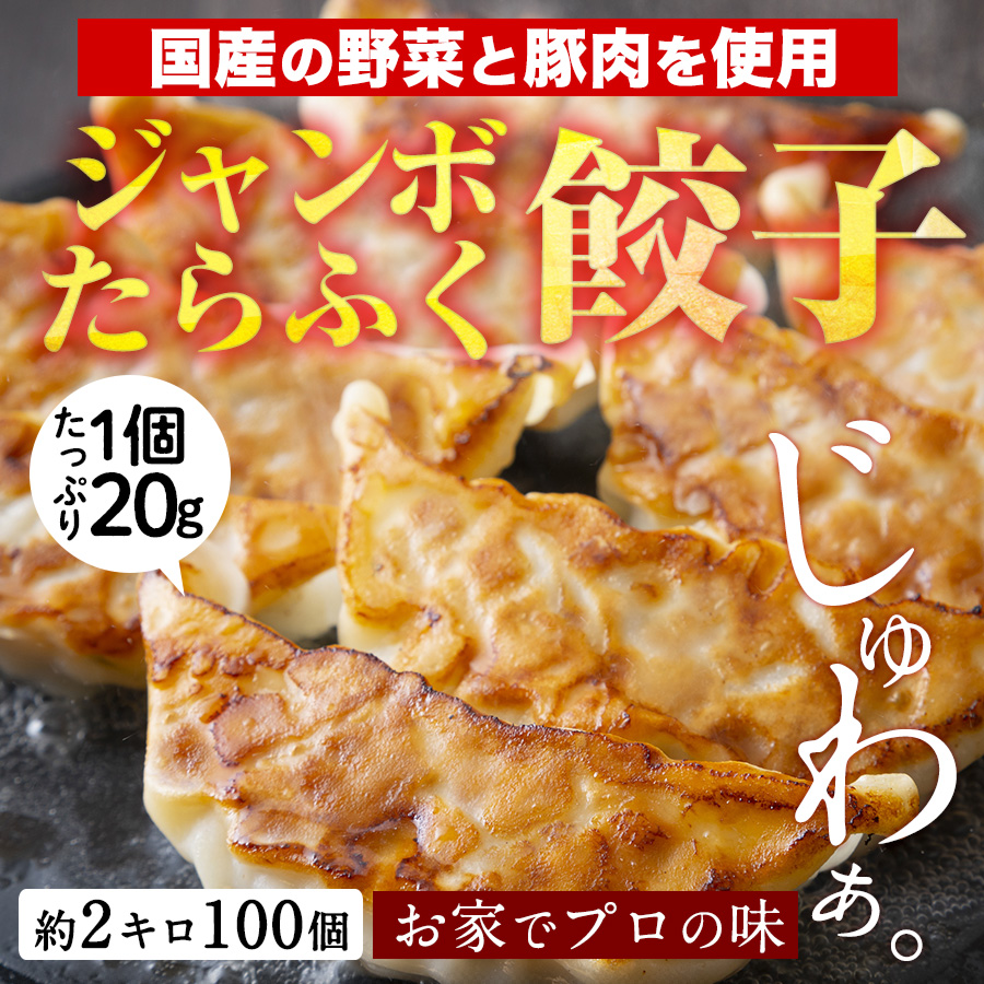 餃子 取り寄せ 送料無料 業務用 生餃子 ぎょうざ ギョーザ 冷凍 送料