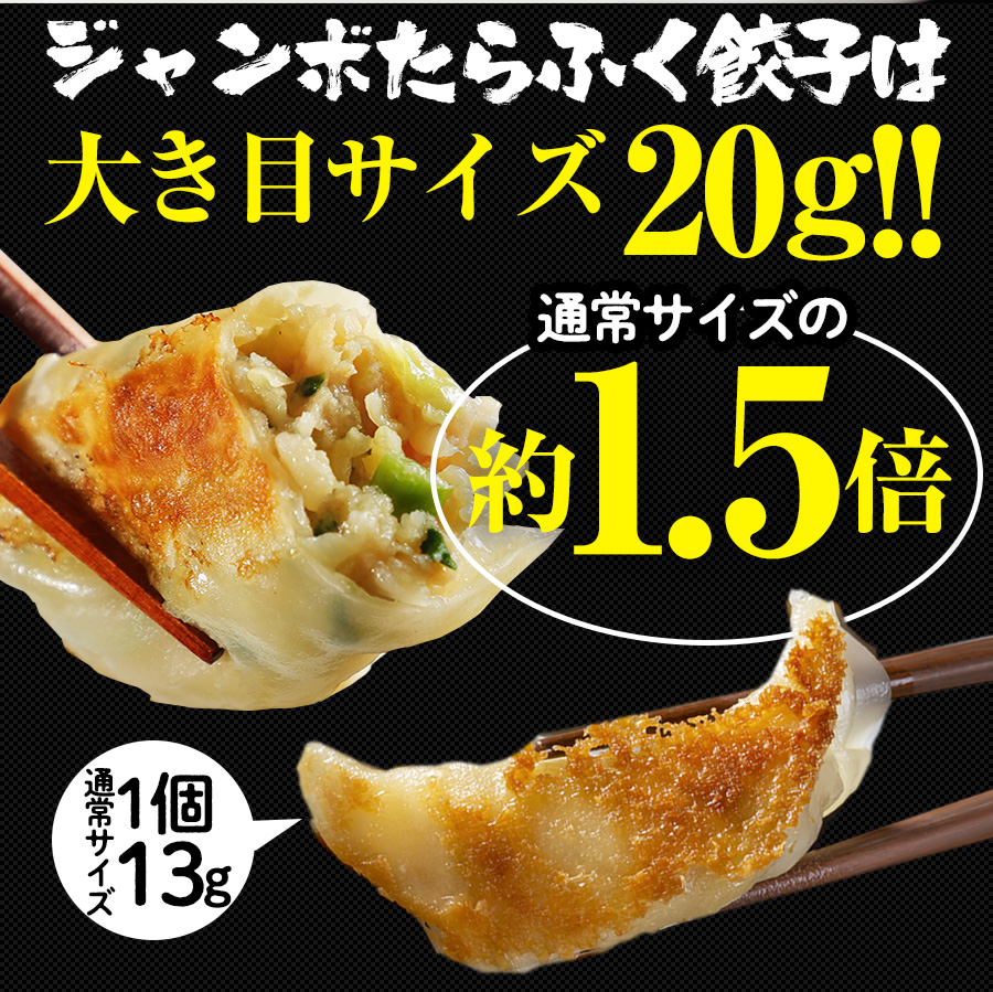 餃子 取り寄せ 送料無料 業務用 生餃子 ぎょうざ ギョーザ 冷凍 送料