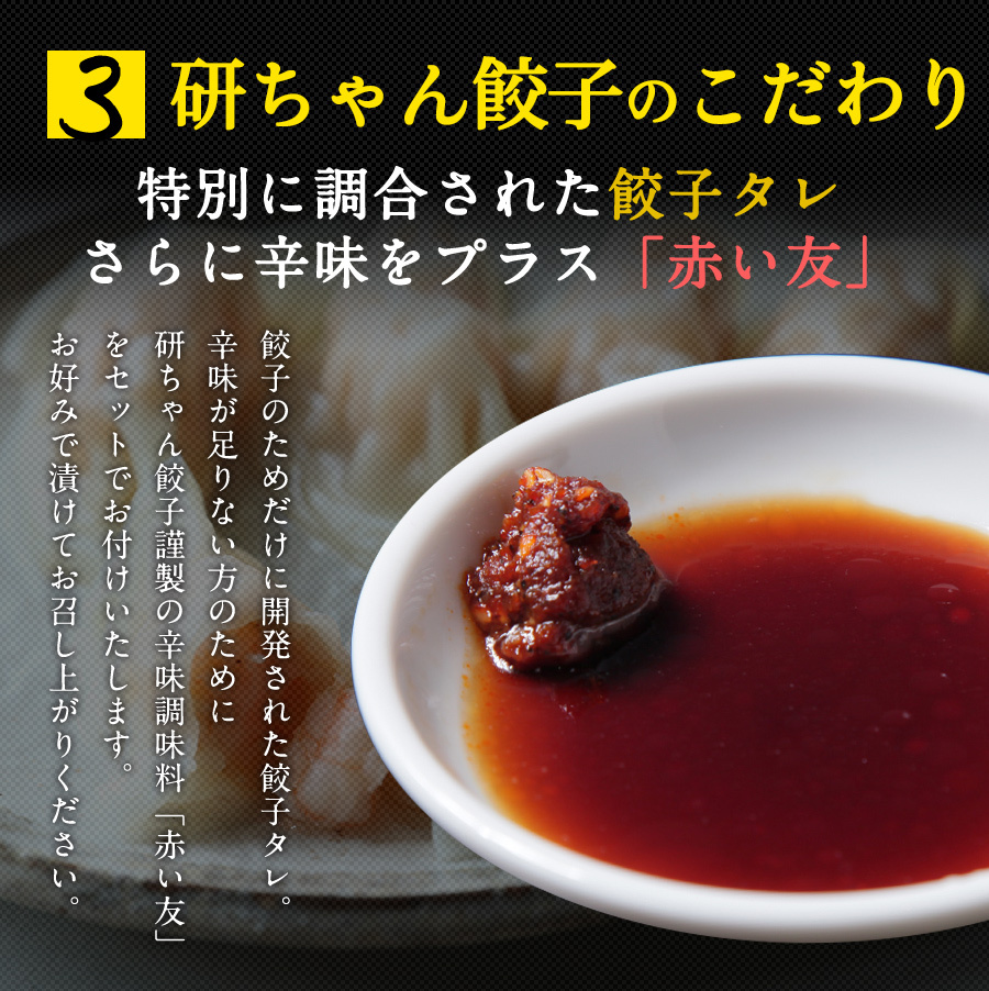 返品送料無料 特製餃子タレ 11g 袋 たれ 餃子計画 餃子 調味料 研ちゃん餃子 materialworldblog.com