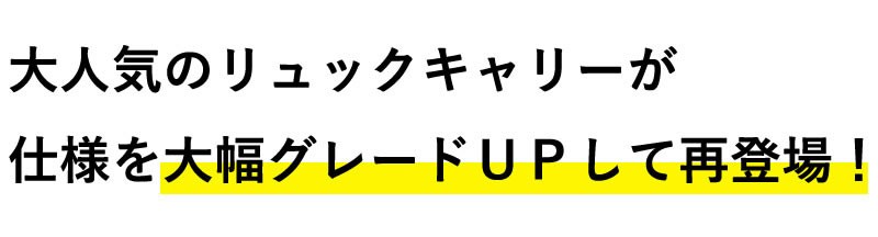 剣道　防具袋　リュックキャリー防具袋(バッグ)　背負えるキャリー 防具バッグ