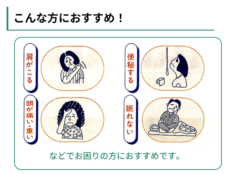 タカダイオン
