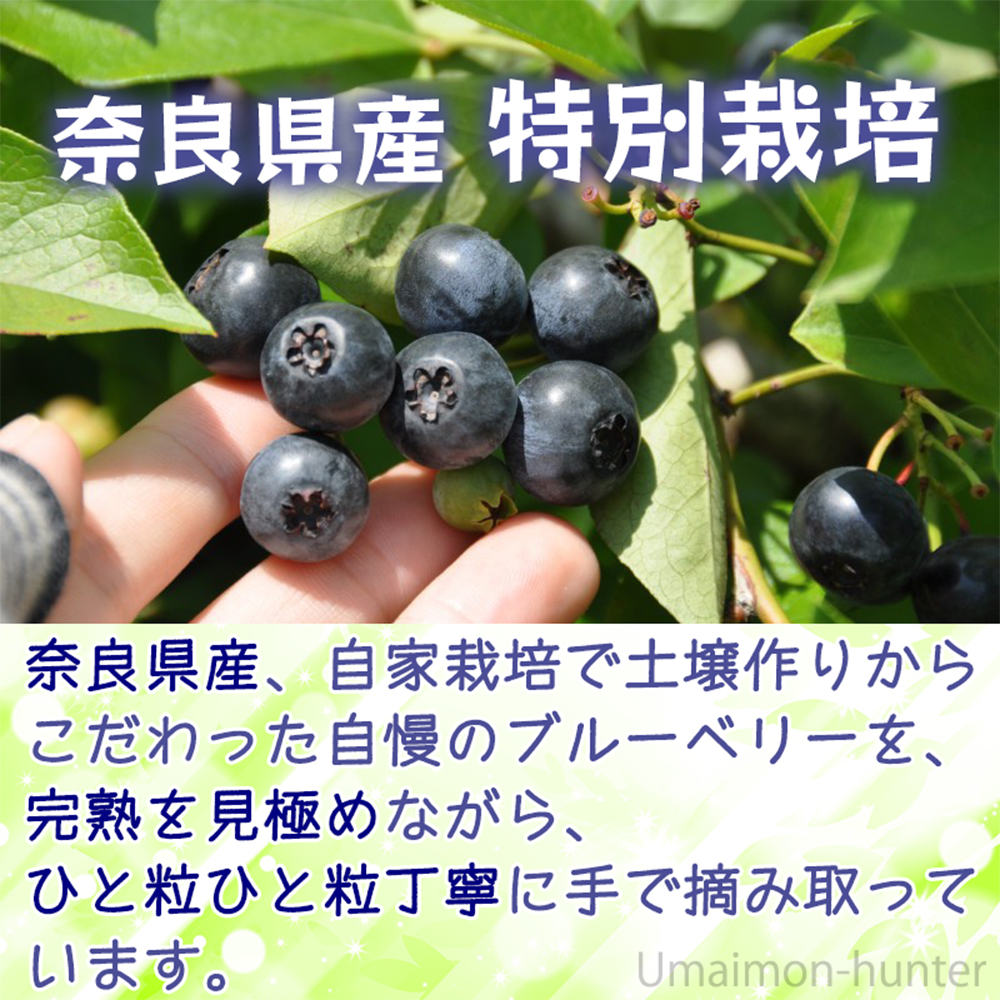 冷凍ブルーベリー90g×5P 堀うち農園 無農薬栽培 : けんこう畑