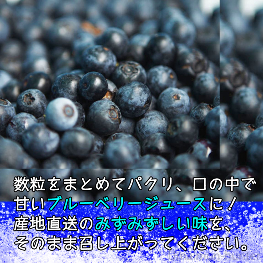 冷凍ブルーベリー90g×5P 堀うち農園 無農薬栽培 : けんこう畑