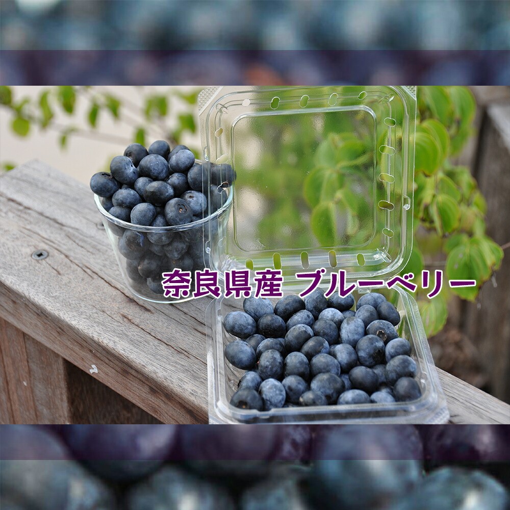 ☆令和7年 生ブルーベリー☆農薬不使用 5㌔ 楽天市場】ブルーベリー 無農薬の通販
