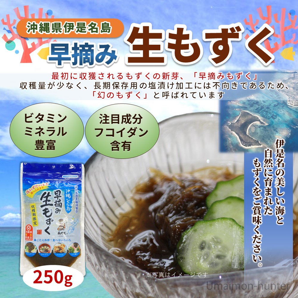 伊是名漁協 沖縄いぜな島 早摘み生もずく 250g×10袋 : けんこう