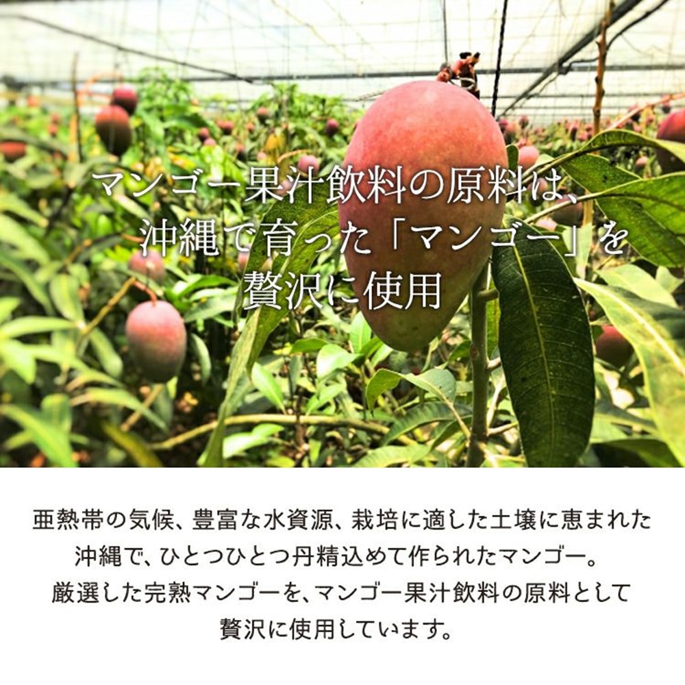 贅熟 沖縄県産マンゴー果汁飲料50% 500ml×8箱 ケレス沖縄 沖縄県