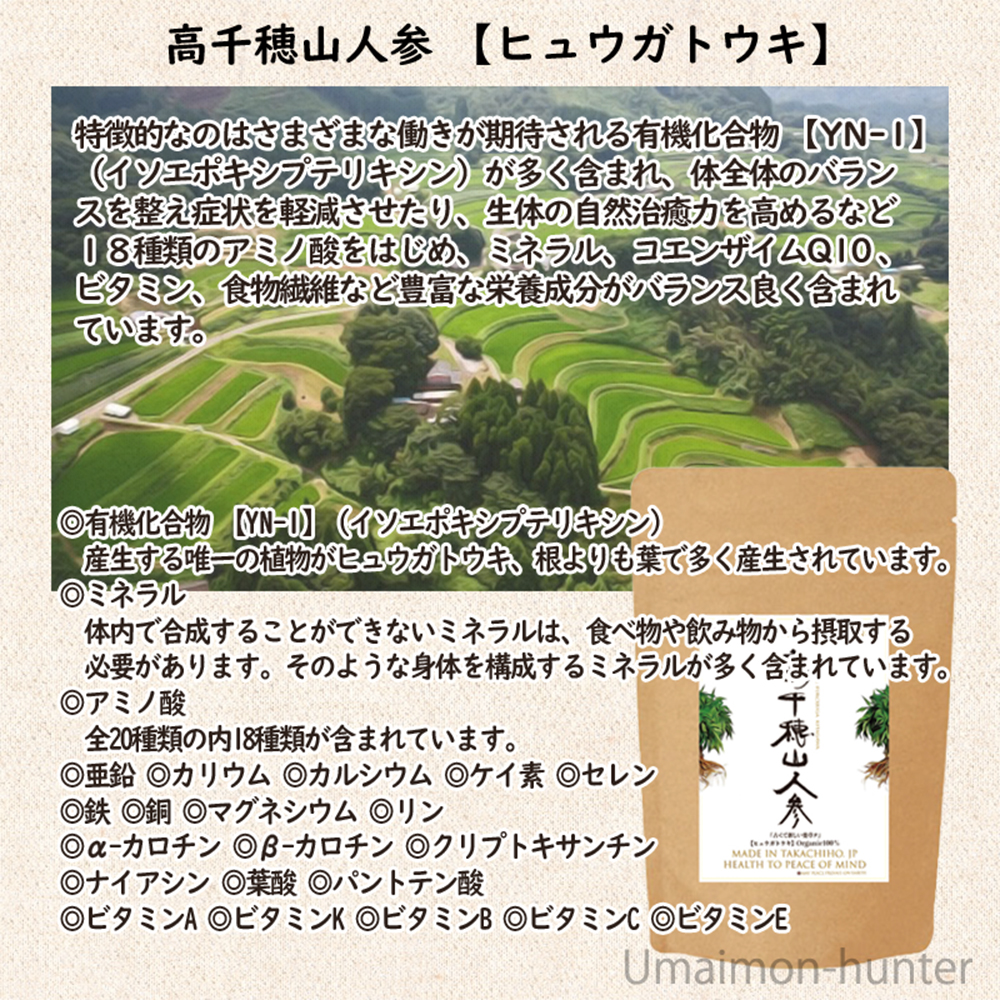 【中古】 ヒュウガトウキのすべて ヒュウガトウキ 種の商品一覧 通販 - Yahoo!ショッピング