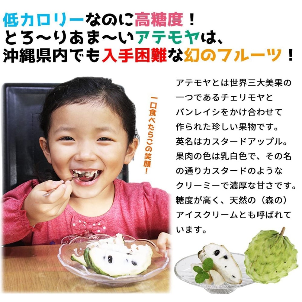 アテモヤのおすすめ人気商品一覧 通販 - Yahoo!ショッピング