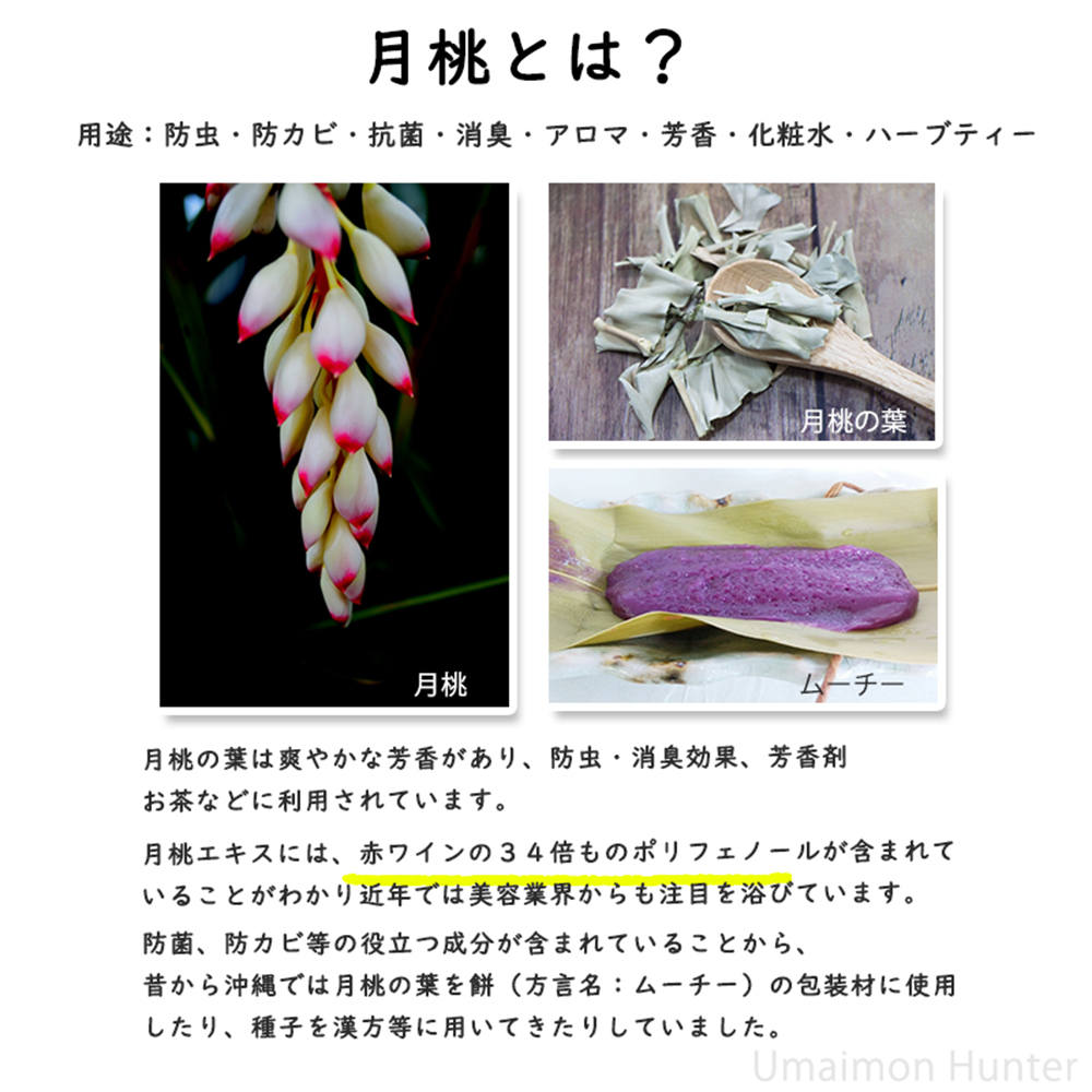 アンラーヴ クリーム 100g 沖縄・離島は発送不可 月桃保湿クリーム 100g×3個 沖縄ウコン販売 沖縄 土産 人気
