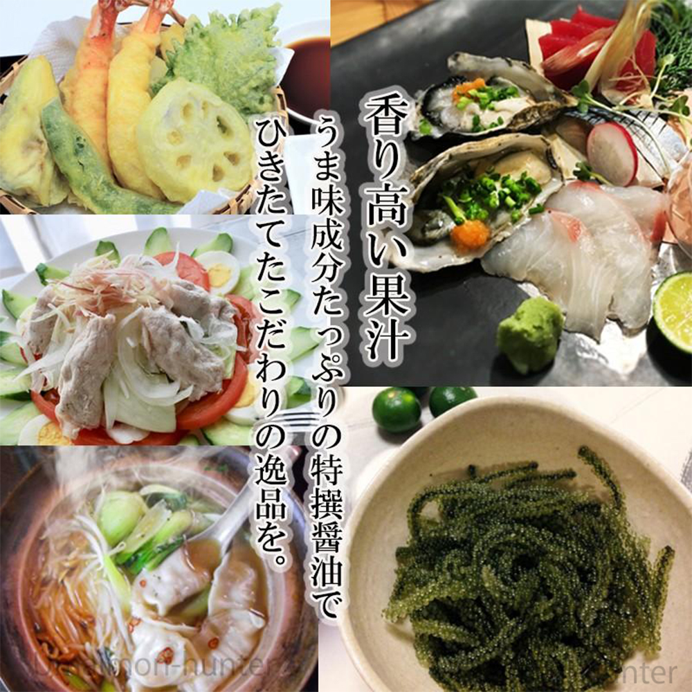 シークヮーサーの村 500ml×12本 沖縄特産販売 |  | 02