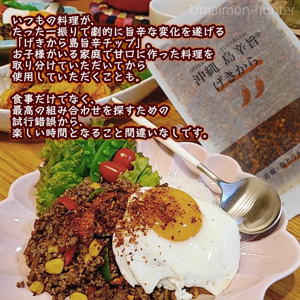 沖縄 島辛旨 げきから80g×10袋 スパイスチップ_2