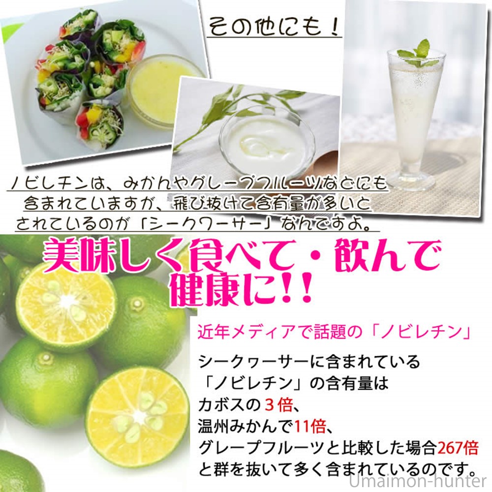 沖縄旬搾 シークワーサー搾り 100% 360ml×12本 無添加 沖縄