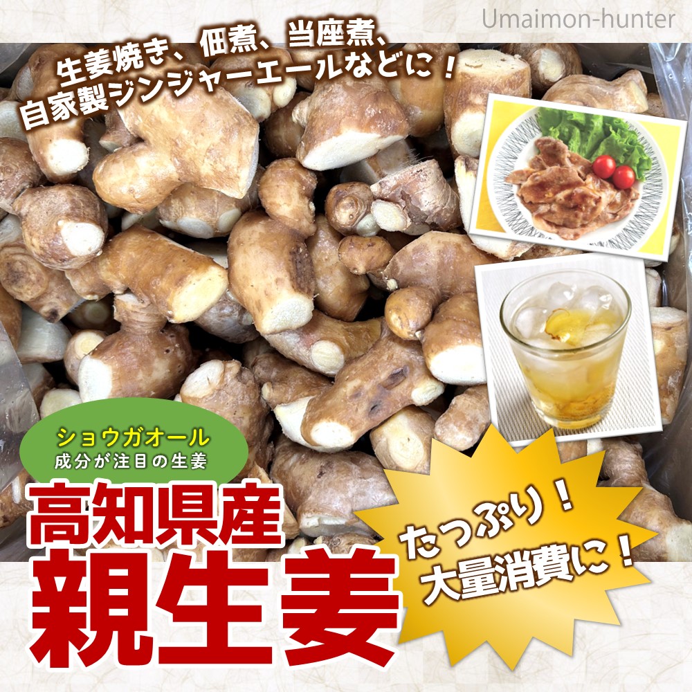 みかん高知県産親生姜5Kg 高知県産 親生姜 5kg×1箱 ワクトフーズ : けんこう畑 - 通販