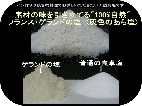【レビューを書けば送料当店負担】 塩 ゲランドの塩 顆粒 鳥越製粉 1kg×3 フランス産 天然塩