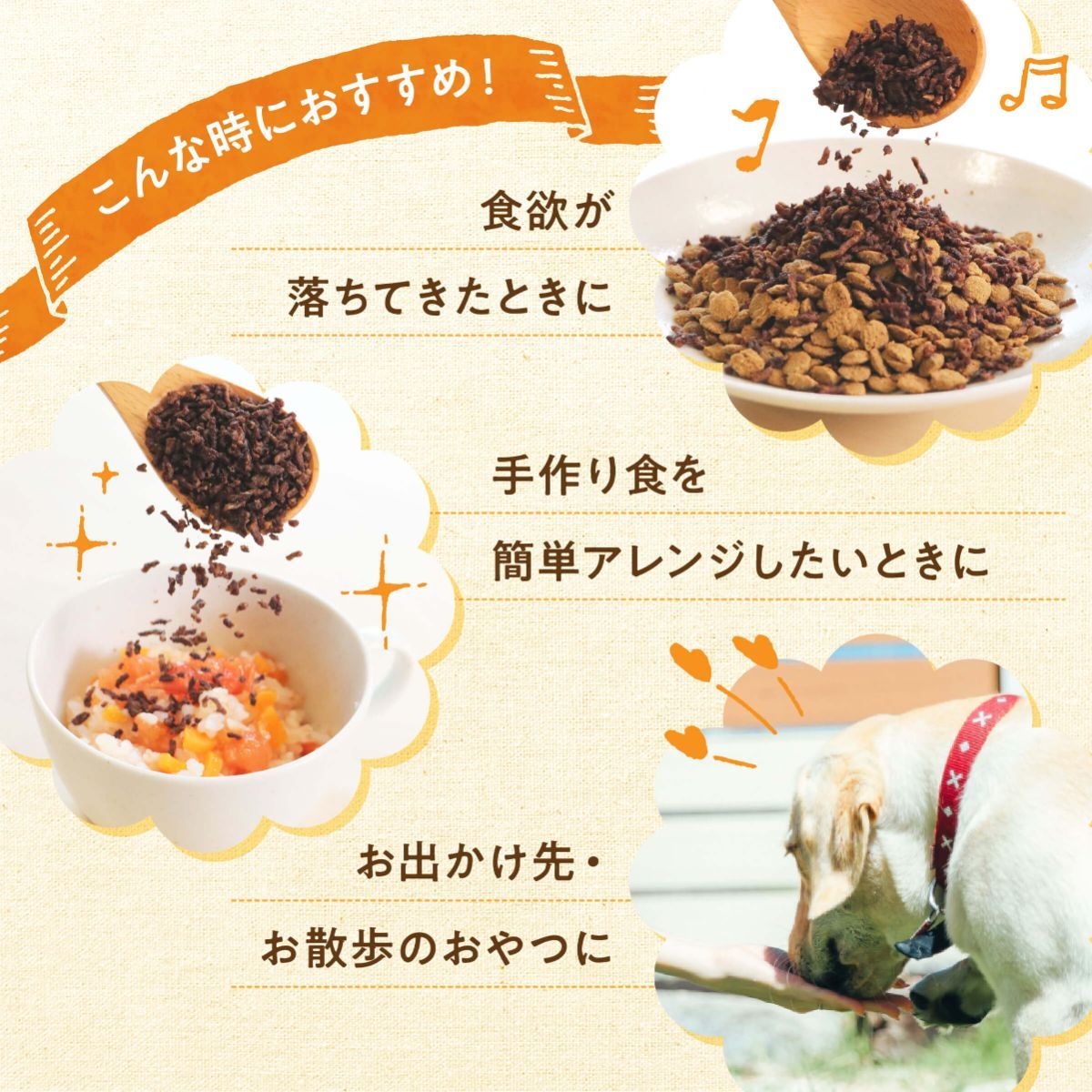 犬 猫 ふりかけ 無添加 国産 【 馬肉 ヘルシーふりかけ (50g×3袋