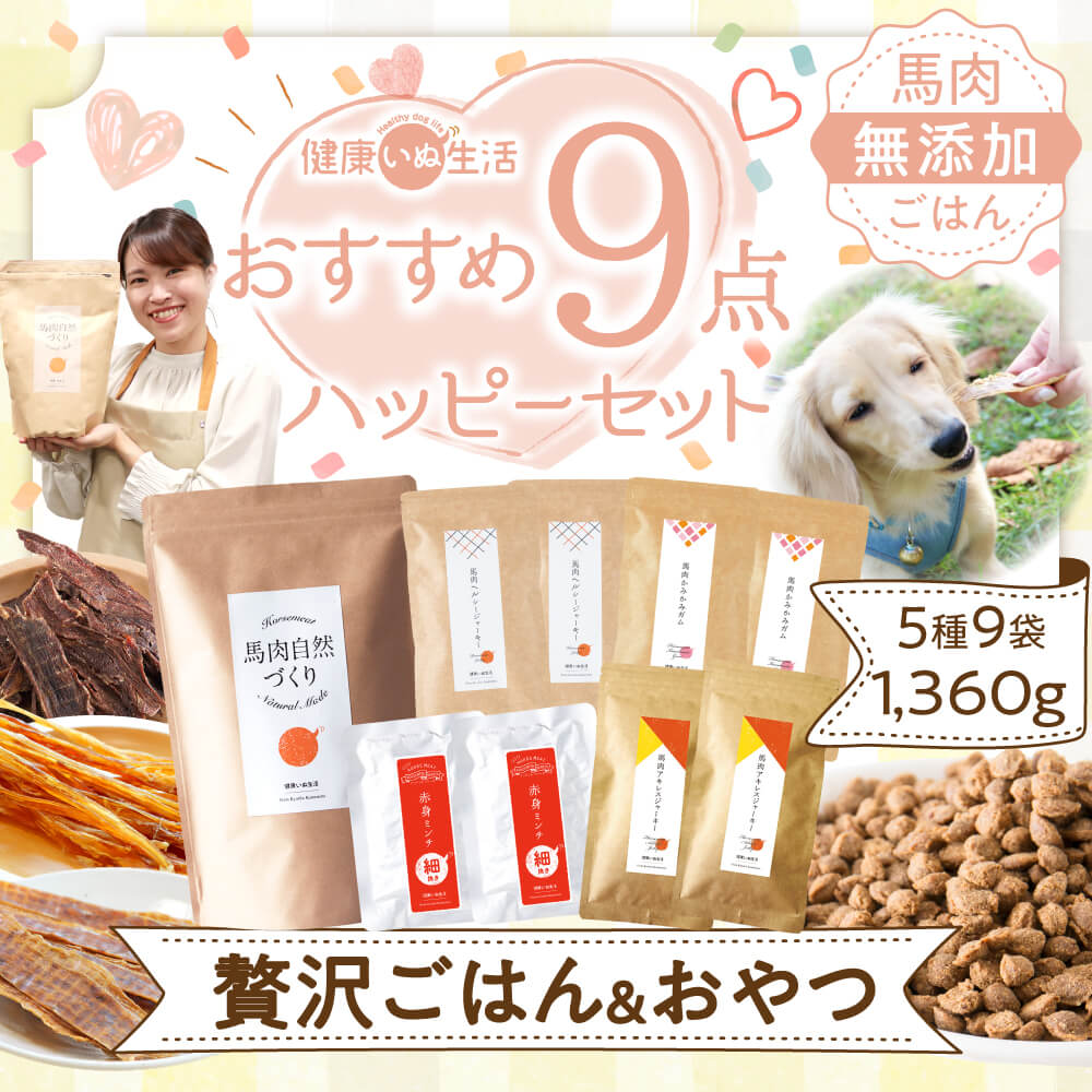 ドッグフード 馬肉 国産 無添加 ハッピーセット 福袋 かみかみおやつ