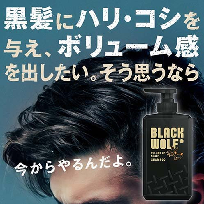 大正製薬 【大正製薬】 [ブラックウルフ] ボリュームアップ スカルプ
