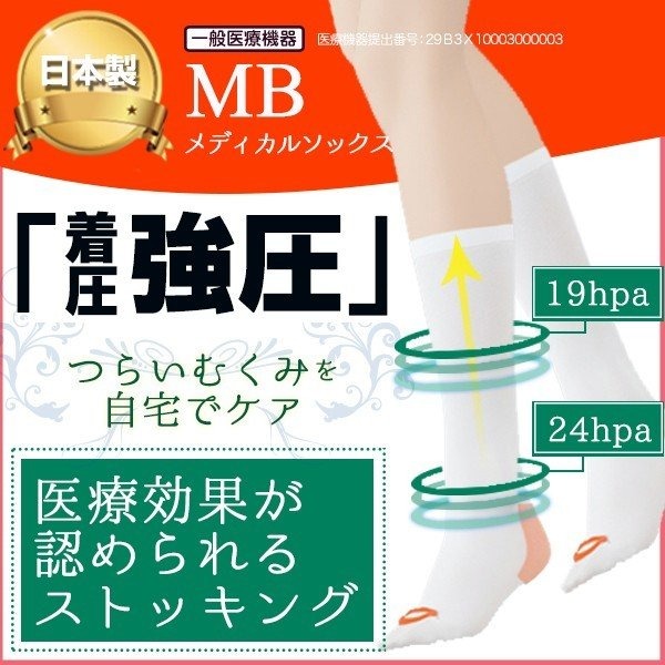 MBフィット