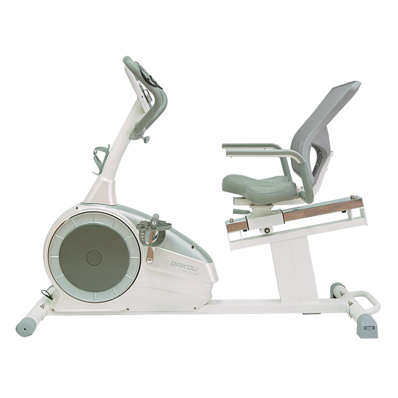シートバイク DK-301RP