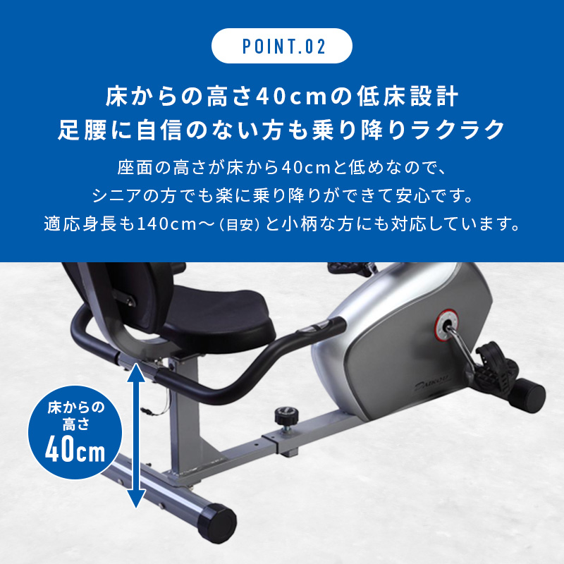 シートバイク DK-8304R