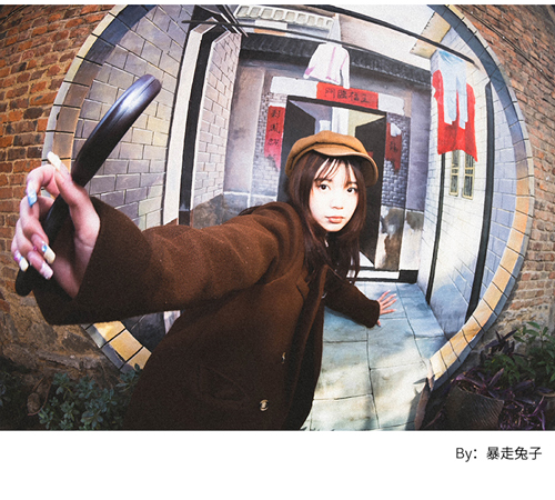 取寄 Brightin Star 10mm F5.6 Fish-eye シルバー ソニーEマウント