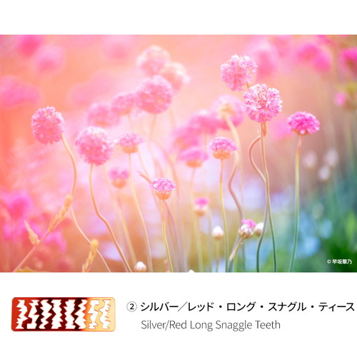 即配 (KT) LENSBABY レンズベビー OMNI(オムニ) ユニバーサル