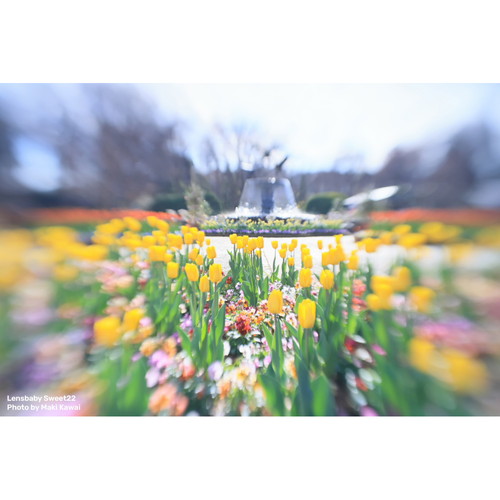 Lensbaby（レンズベビー） 即配 (KT) Lensbaby Sweet 22 Kit