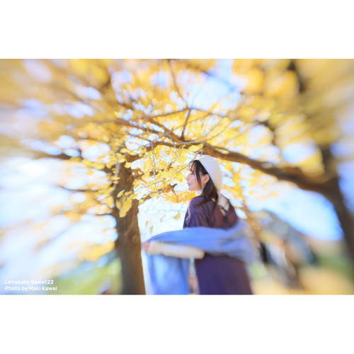 Lensbaby（レンズベビー） 即配 (KT) Lensbaby Sweet 22 Kit