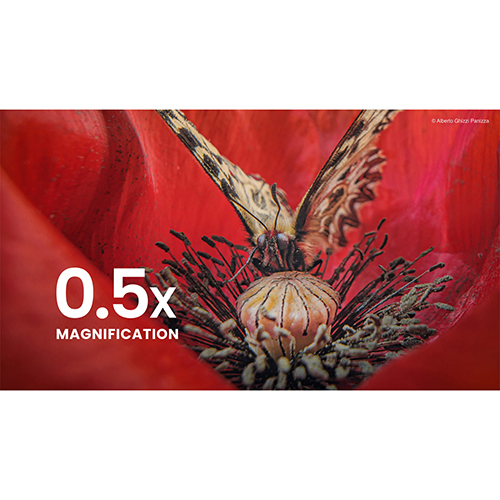 LAOWA（ラオワ） 取寄 (SJ) 15mm F4.5 0.5X Wide Angle Macro (Auto