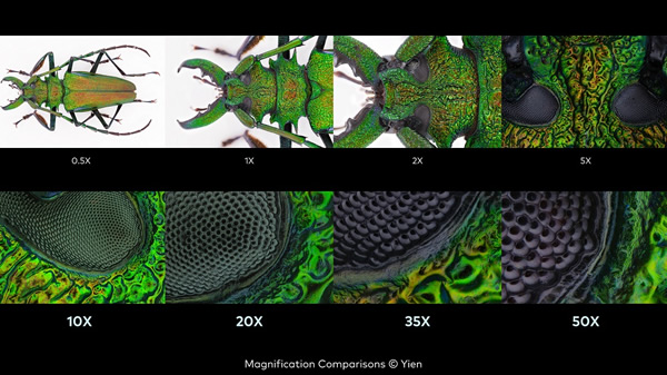 LAOWA（ラオワ） 取寄 (SJ) Aurogon FF 10-50x NA0.5 supermicro APO