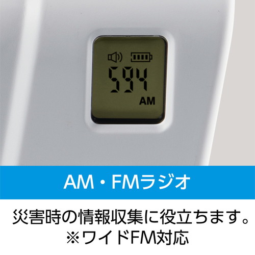 ☆数量限定アウトレット品]即配 (KT) 手回しワンセグTVラジオ KR