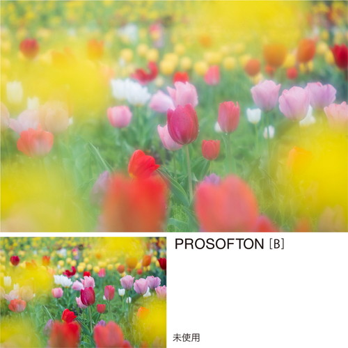 未使用保管品 
ROSSGNOL ロシニョール
バックバッグ ケンコー 即配 (KT) 77mm PRO1D プロソフトン[B](W) 効果強タイプ