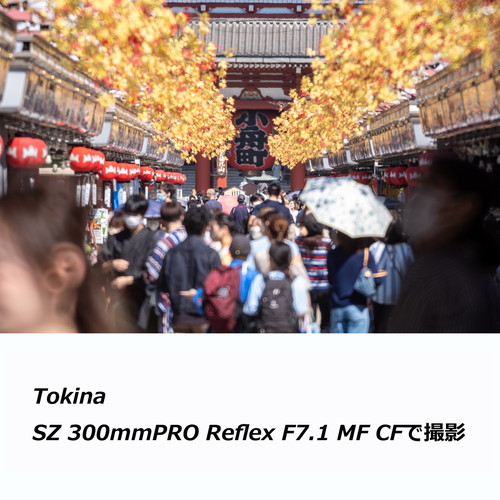 TAMRON タムロン 70-300mm F/4.5-6.3　Eマウント 即配 (KT) トキナー SZ 300mm PRO Reflex F7.1 MF CF ソニーE