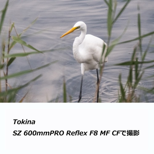 即配 トキナー SZ 600mm PRO Reflex F8 MF CF キヤノンEF-Mマウント