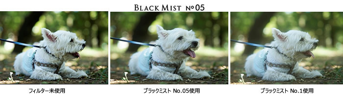 即配 (KT) 67mm ブラックミスト No.05 ケンコートキナー KENKO TOKINA ネコポス便 :4961607716793:ケンコー・ トキナー ヤフー店 - 通販 - Yahoo!ショッピング