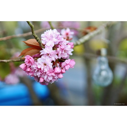 オリンパス　M.ZUIKO 12-200mm f3.5-6.3 即配 SAMYANG サムヤン MF 85mm F1.4 MK2 キヤノンMマウント
