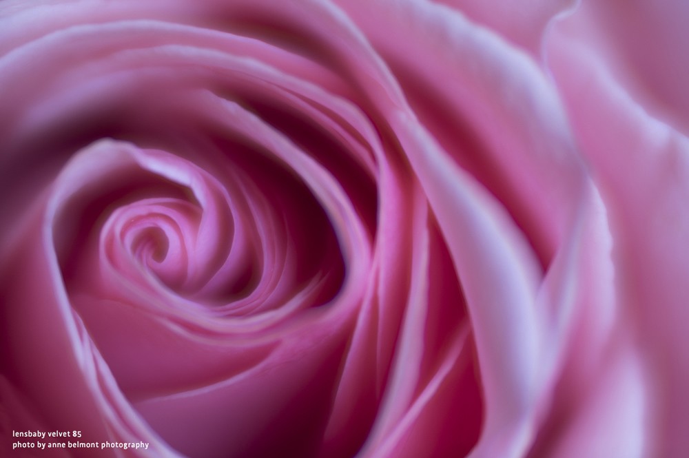 【美品】SIGMA DC 17-70mm F2.8-4.5 Canon用 Lensbaby 即配 LENSBABY レンズベビー Velvet(ベルベット) 85
