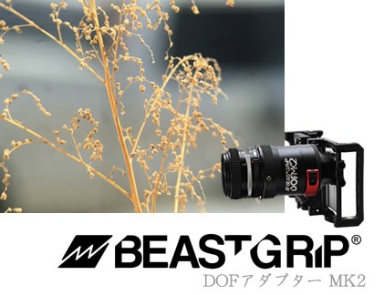 Amazon | 【国内正規品】 BEASTGRIP レールサポートシステム