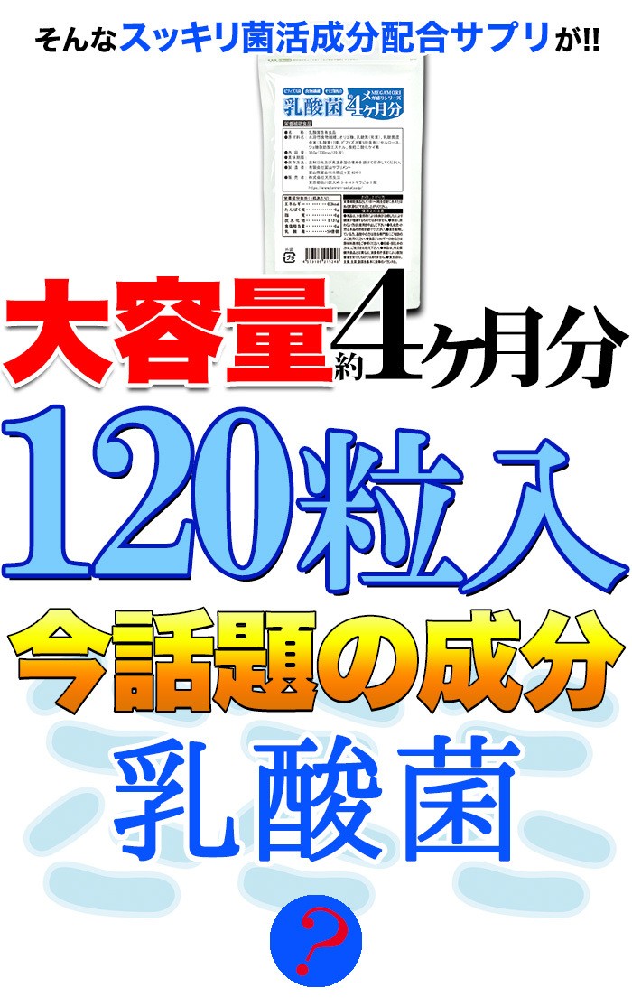 市場 メガ盛り 菌活 どっさり約4ヶ月分 120粒 乳酸菌サプリメント サプリ