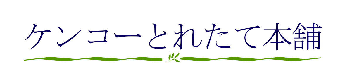 ケンコーとれたて本舗 ヘッダー画像