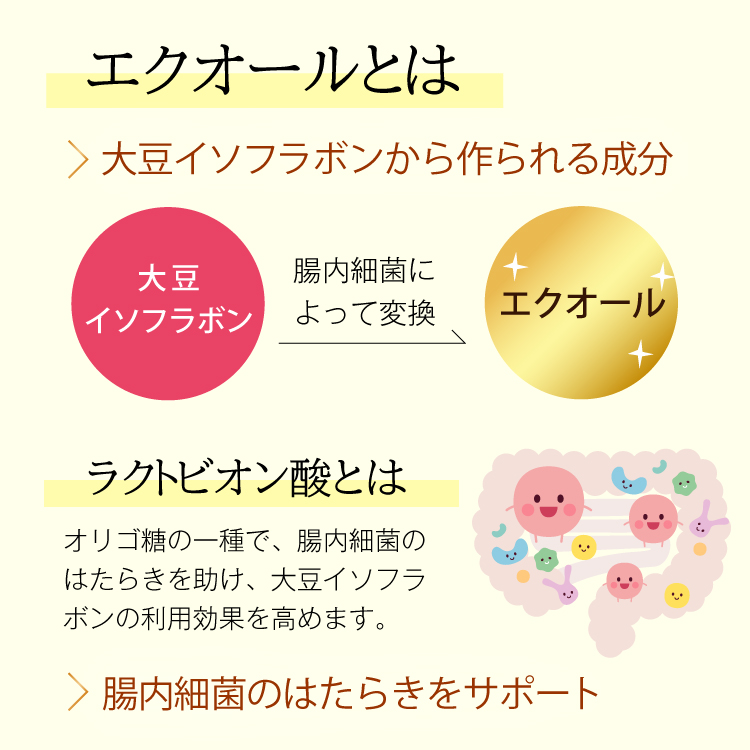 エクオールとは