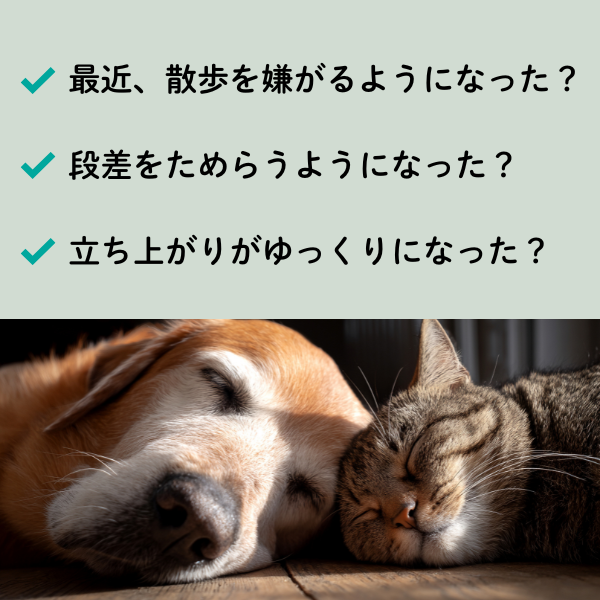 犬猫用栄養補助食品 犬用 猫用 関節 サプリ UC-II きときとあにまる