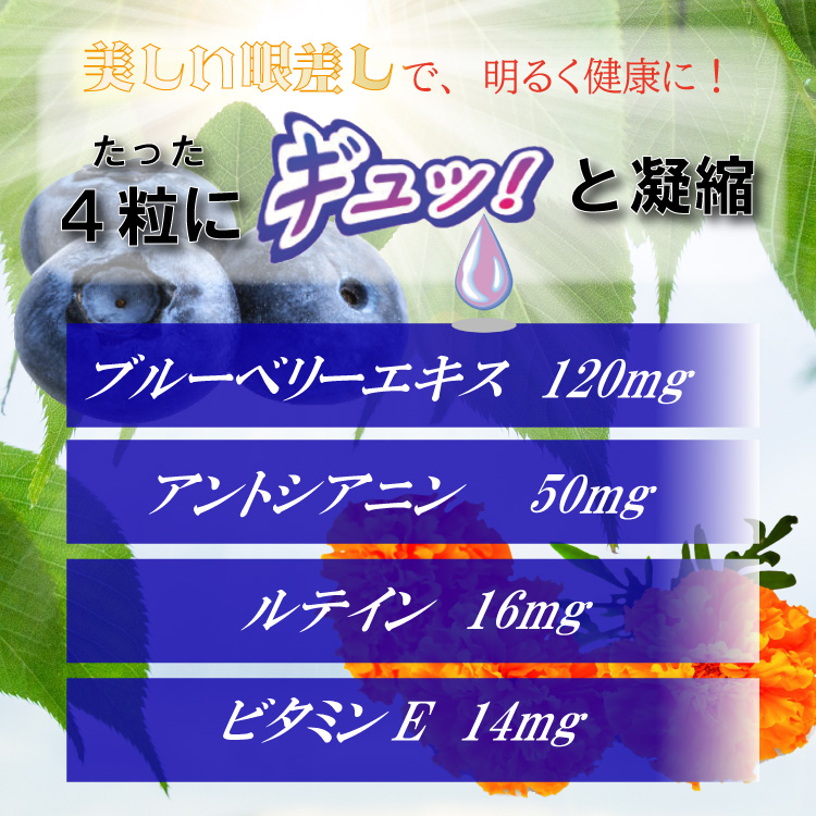 ビルベリー