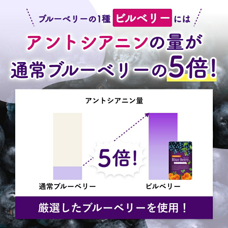 通常のブルーベリーの5倍
