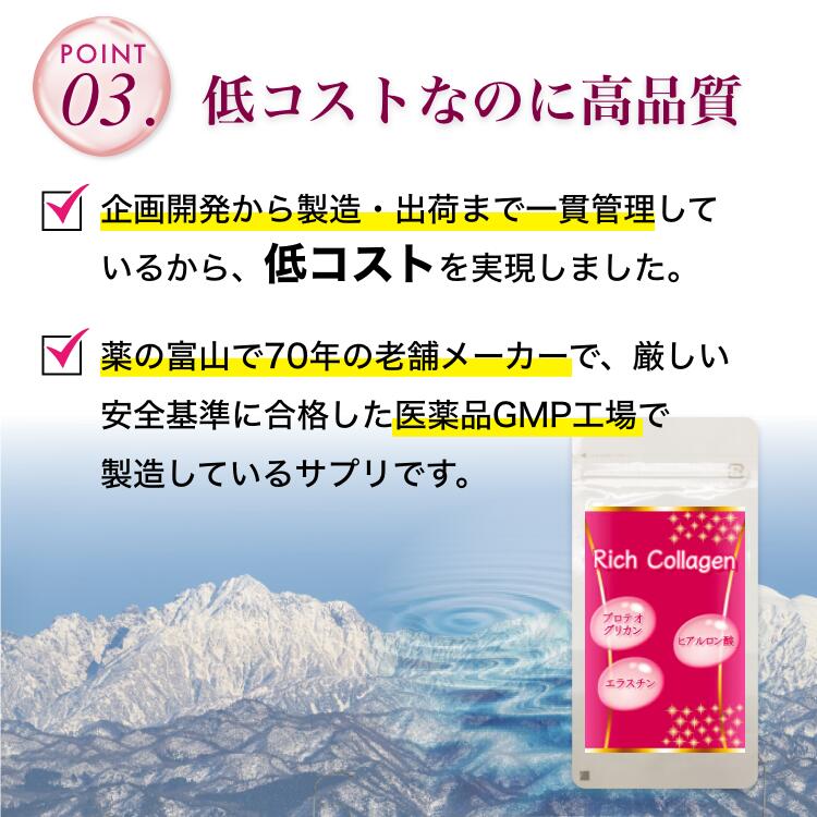 渡邊薬品 リッチコラーゲン 90粒 1袋 サプリ サプリメント コラーゲン ヒアルロン酸 プロテオグリカン エラスチン 国内製造 国産  :a-0001:とやま健康プラザ - 通販 - Yahoo!ショッピング