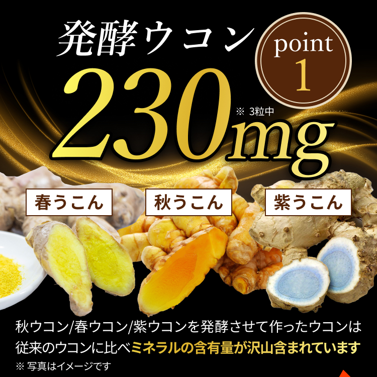 発酵ウコン230mg含有