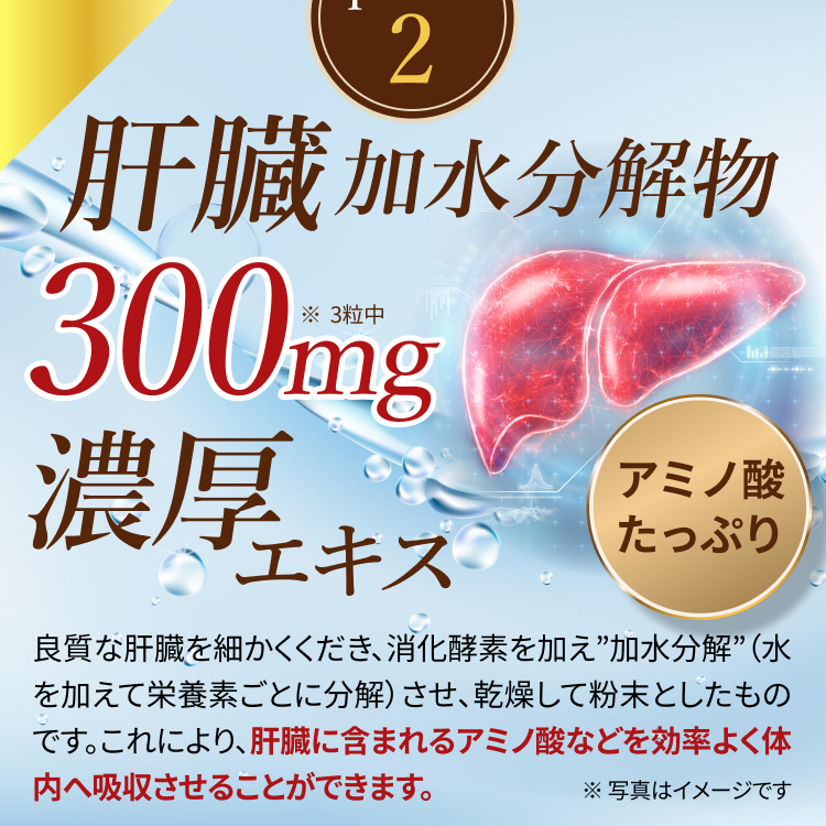 肝臓加水分解物300mg