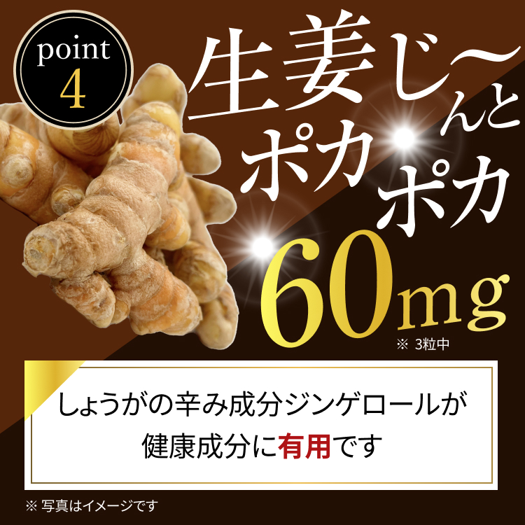 ショウガ60mg